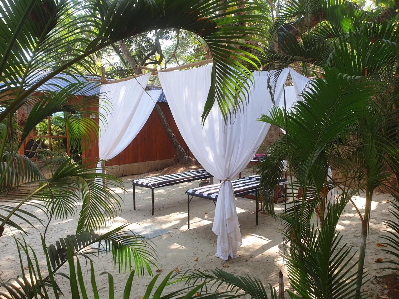 Palm Forest Palolem Esterno foto