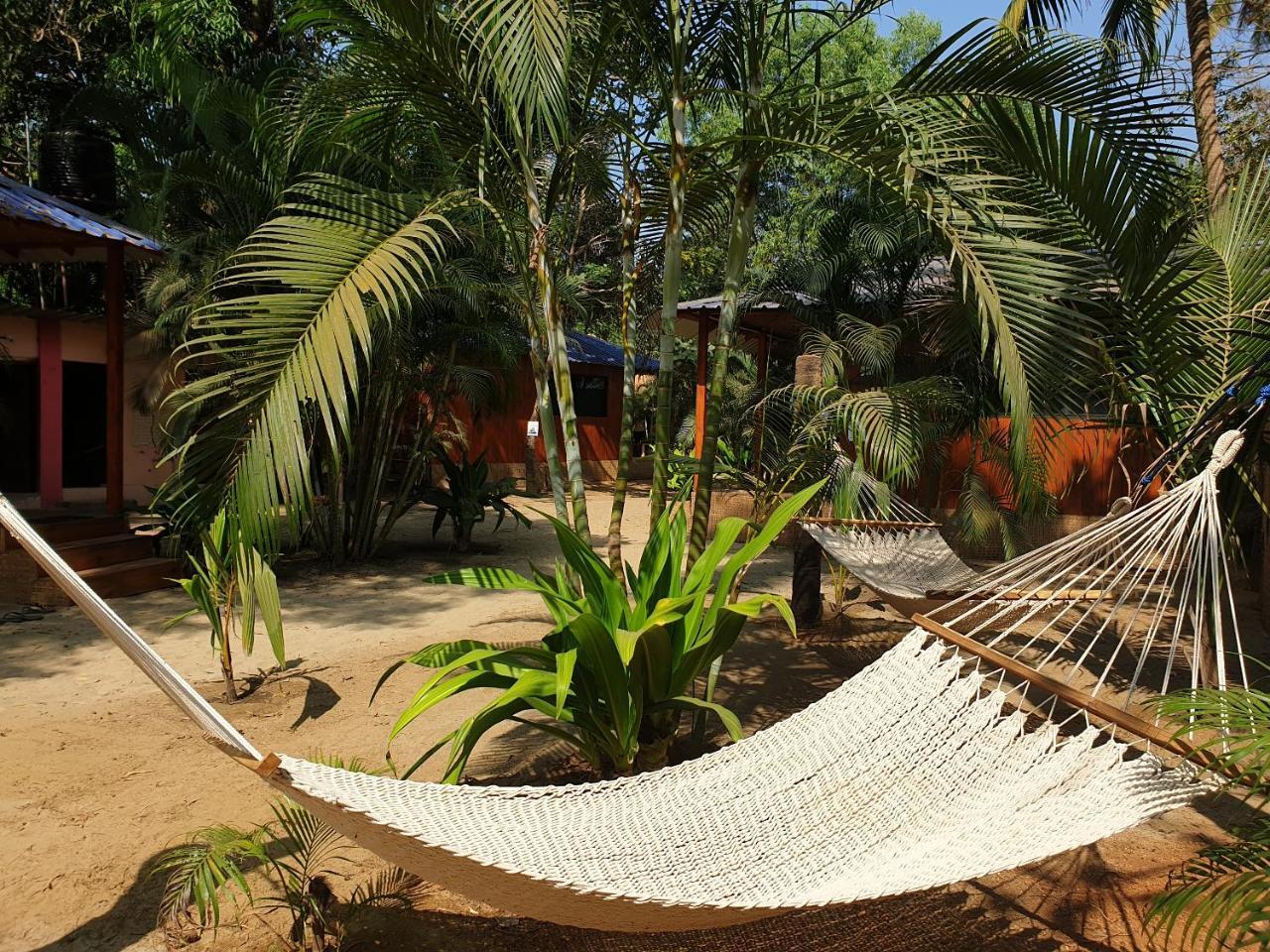 Palm Forest Palolem Esterno foto